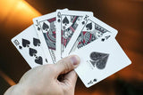 Bitcoin Playing Cards - Brown Bear Magic Shop