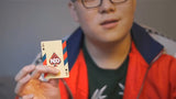Broken Borders 2019 Playing Cards by The New Deck Order - Brown Bear Magic Shop