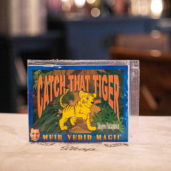 Catch That Tiger by Shigeo Futagawa - Brown Bear Magic Shop