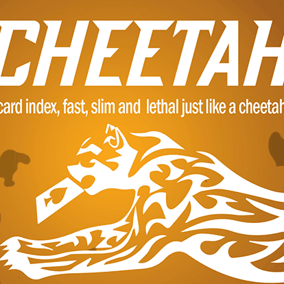 Chetah by Berman Dabat and Michel - Brown Bear Magic Shop