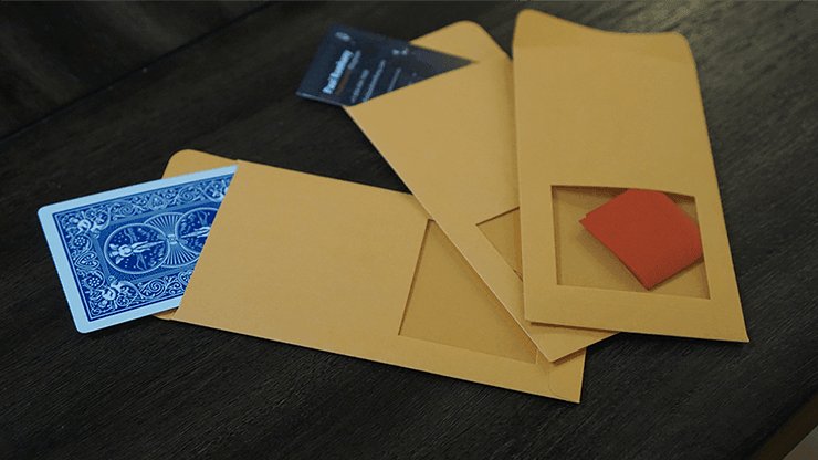 DP SWITCHING ENVELOPE by Paul Romhany - Brown Bear Magic Shop