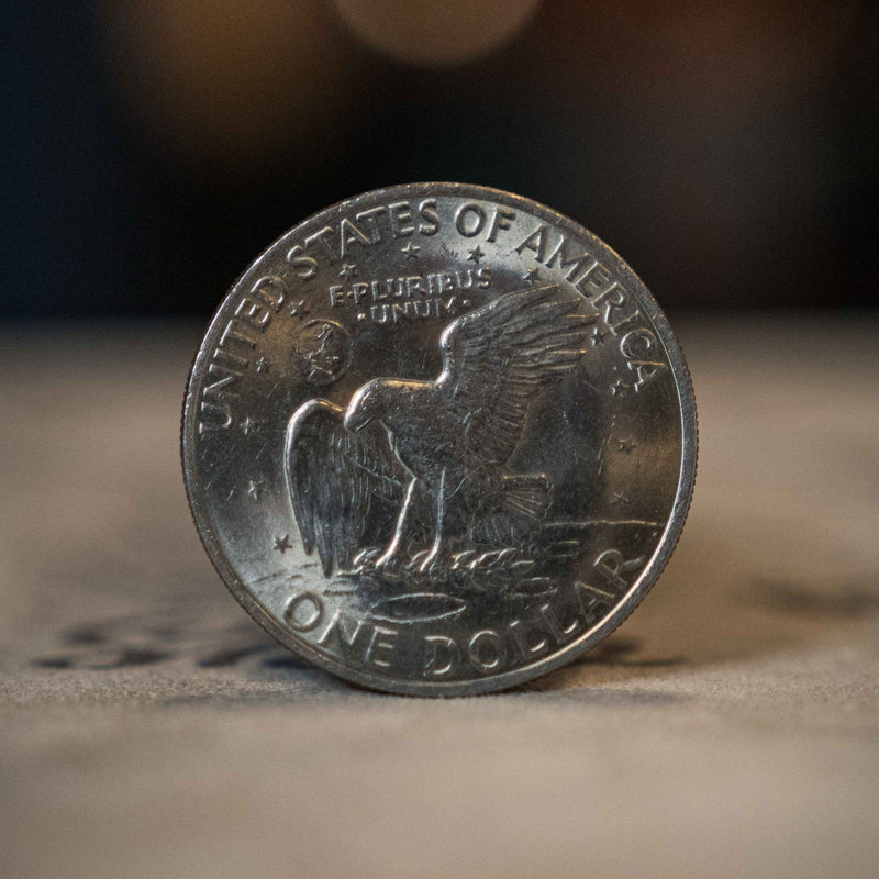 Eisenhower Dollar (Single Coin Ungimmicked One Dollar) - Brown Bear Magic Shop