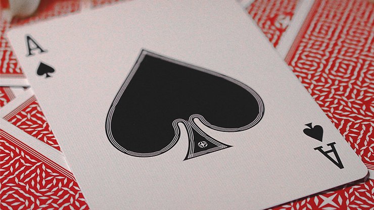 Elysian Duets Marked Deck by Phill Smith - Brown Bear Magic Shop