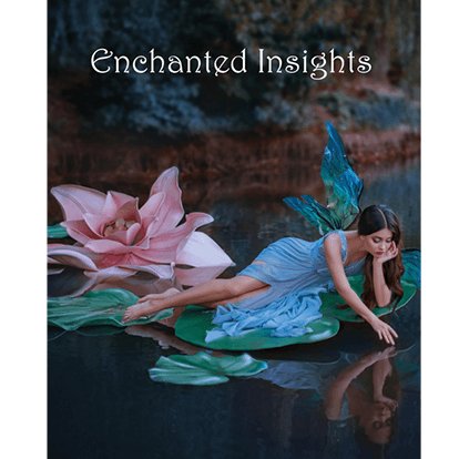 ENCHANTED INSIGHTS RED by Magic Entertainment Solutions - Brown Bear Magic Shop