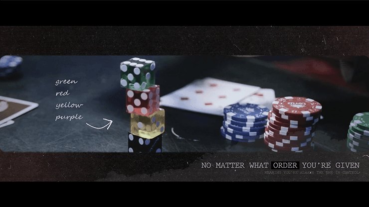 How to Cheat at Dice Black Leather by Zonte and SansMinds - Brown Bear Magic Shop