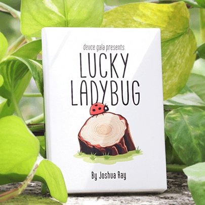 Lucky Ladybug by Joshua Ray & Deuce Gala Magic - Brown Bear Magic Shop