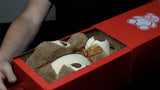 MAGIC BOX by George Iglesias and Twister Magic - Brown Bear Magic Shop
