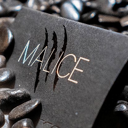 Malice by Xavior Spade - Brown Bear Magic Shop