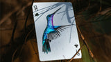Marvelous Hummingbird Feathers Playing Cards by Marvelous Decks - Brown Bear Magic Shop