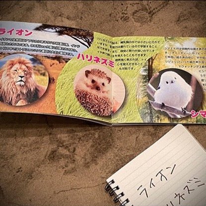 Mentalist's Animal Photo book 2024 by Tenyo Magic - Brown Bear Magic Shop