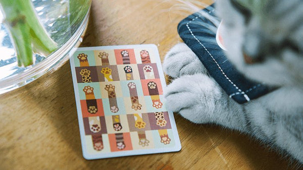 Meow Star Playing Cards by Bocopo - Brown Bear Magic Shop