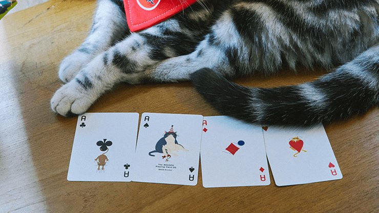Meow Star Playing Cards by Bocopo - Brown Bear Magic Shop