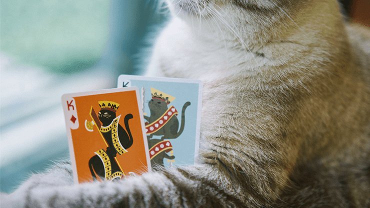 Meow Star Playing Cards by Bocopo - Brown Bear Magic Shop