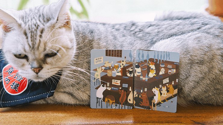 Meow Star Playing Cards by Bocopo - Brown Bear Magic Shop