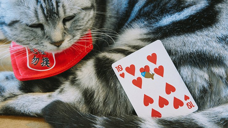 Meow Star Playing Cards by Bocopo - Brown Bear Magic Shop