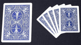 Mini Bicycle Cards - Brown Bear Magic Shop