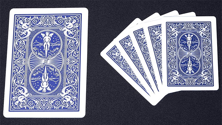 Mini Bicycle Cards - Brown Bear Magic Shop