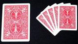 Mini Bicycle Cards - Brown Bear Magic Shop