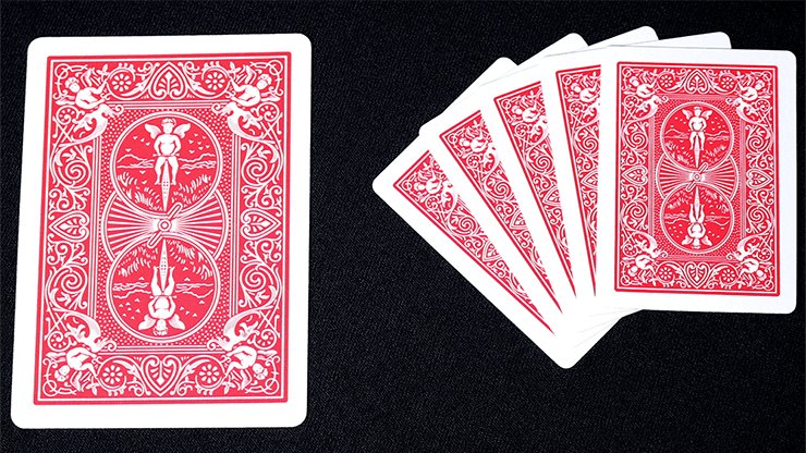 Mini Bicycle Cards - Brown Bear Magic Shop