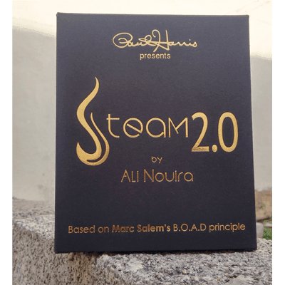 Paul Harris Presents Steam 2.0 by Ali Nouira - Brown Bear Magic Shop