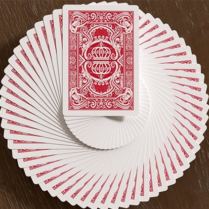 Pixel Kingdom Playing Cards - Brown Bear Magic Shop