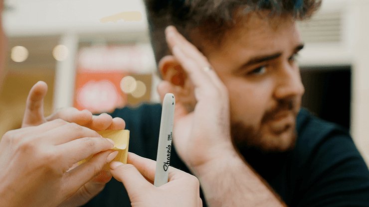 P.O.V. PAD by João Miranda and Julio Montoro - Brown Bear Magic Shop