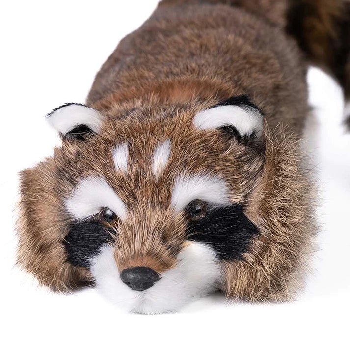 Reality Raccoon - Super Flex Neck - Magic Spring Animal - Brown Bear Magic Shop