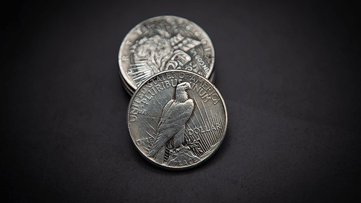 SKULL HEAD COIN by Men Zi Magic - Brown Bear Magic Shop