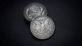 SKULL HEAD COIN by Men Zi Magic - Brown Bear Magic Shop