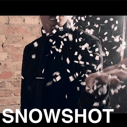SnowShot (10 ct.) by Victor Voitko (Gimmick and Online Instructions) - Brown Bear Magic Shop