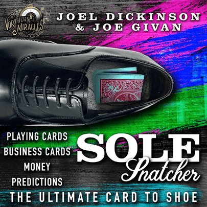 SOLE SNATCHER by Joel Dickinson & Joe Givan - Brown Bear Magic Shop