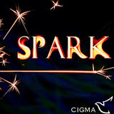SPARK by CIGMA Magic - Brown Bear Magic Shop