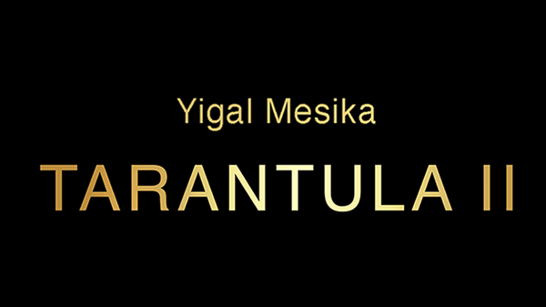 Tarantula II by Yigal Mesika - Brown Bear Magic Shop