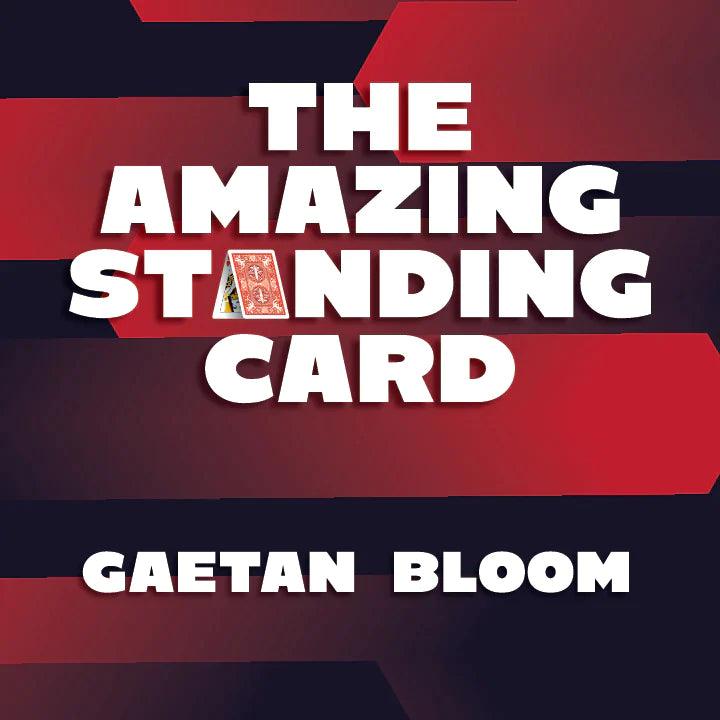 The Amazing Standing Card by Gaetan Bloom - Brown Bear Magic Shop