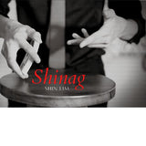 The Vault - Shinag by Shin Lim video DOWNLOAD - Brown Bear Magic Shop